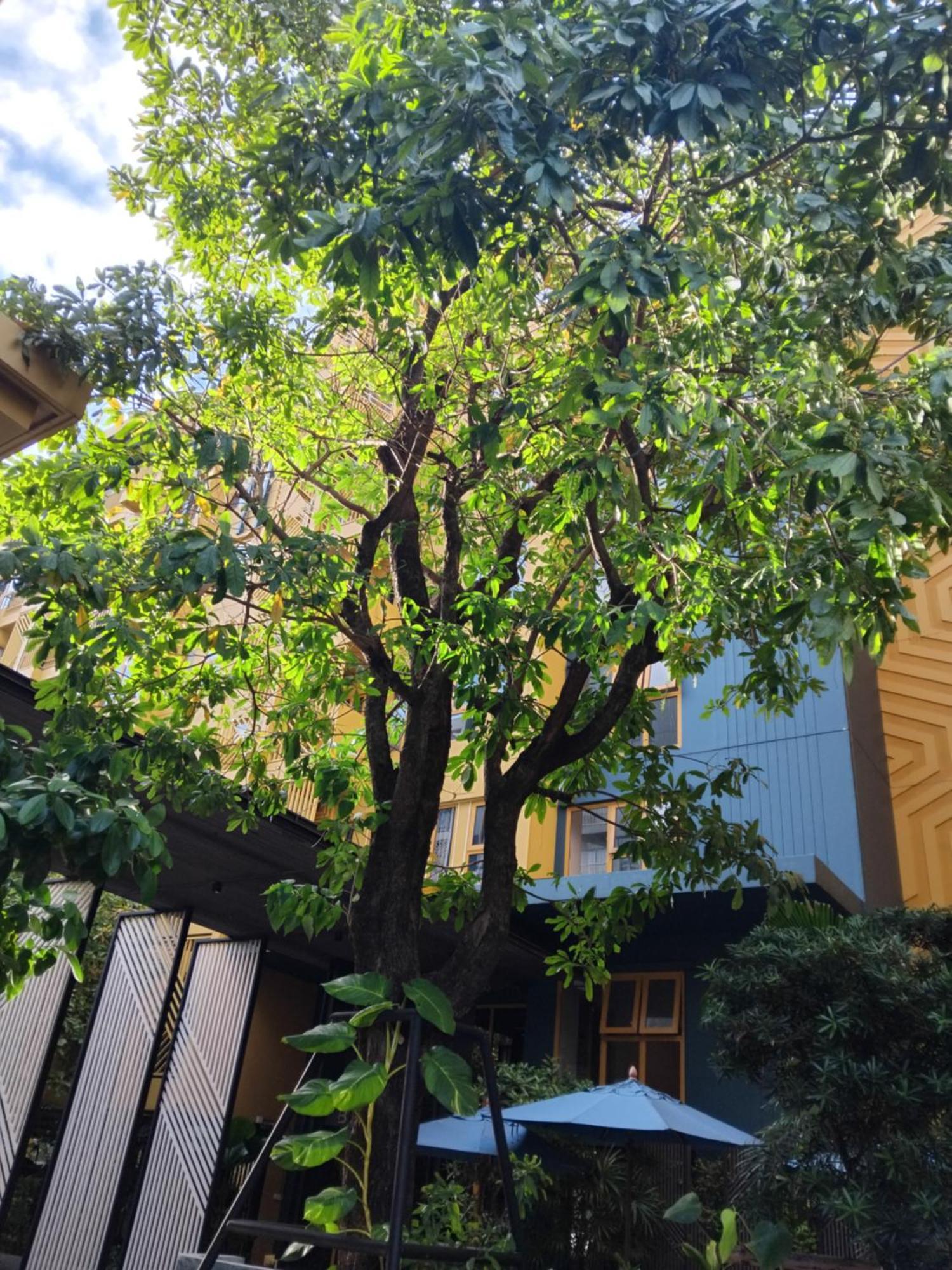 Appartement Brissluxe At Bts Onnut Sukumvit 50 à Bangkok Extérieur photo